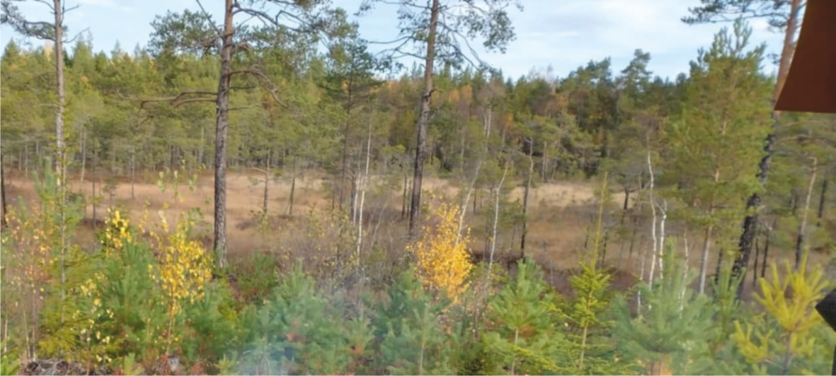 banner_jagareforbundet_soderhamn.png